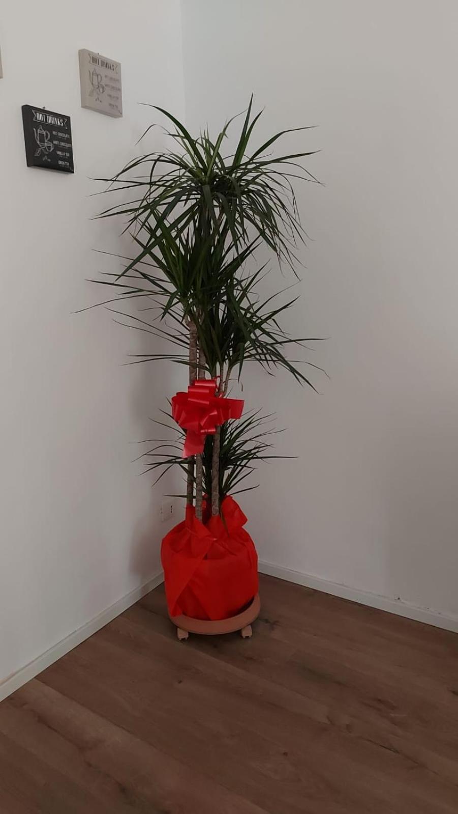 A Casa Di Elena Apartment Палермо Екстериор снимка